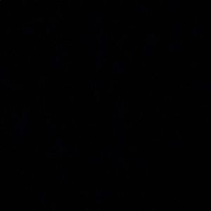 Meet your Posher, Allie